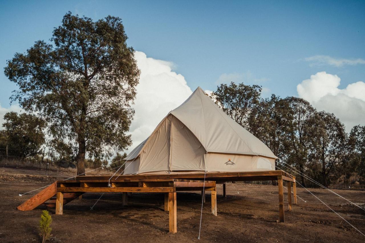 Lago Valle Wine Glamping Valle de Guadalupe Εξωτερικό φωτογραφία