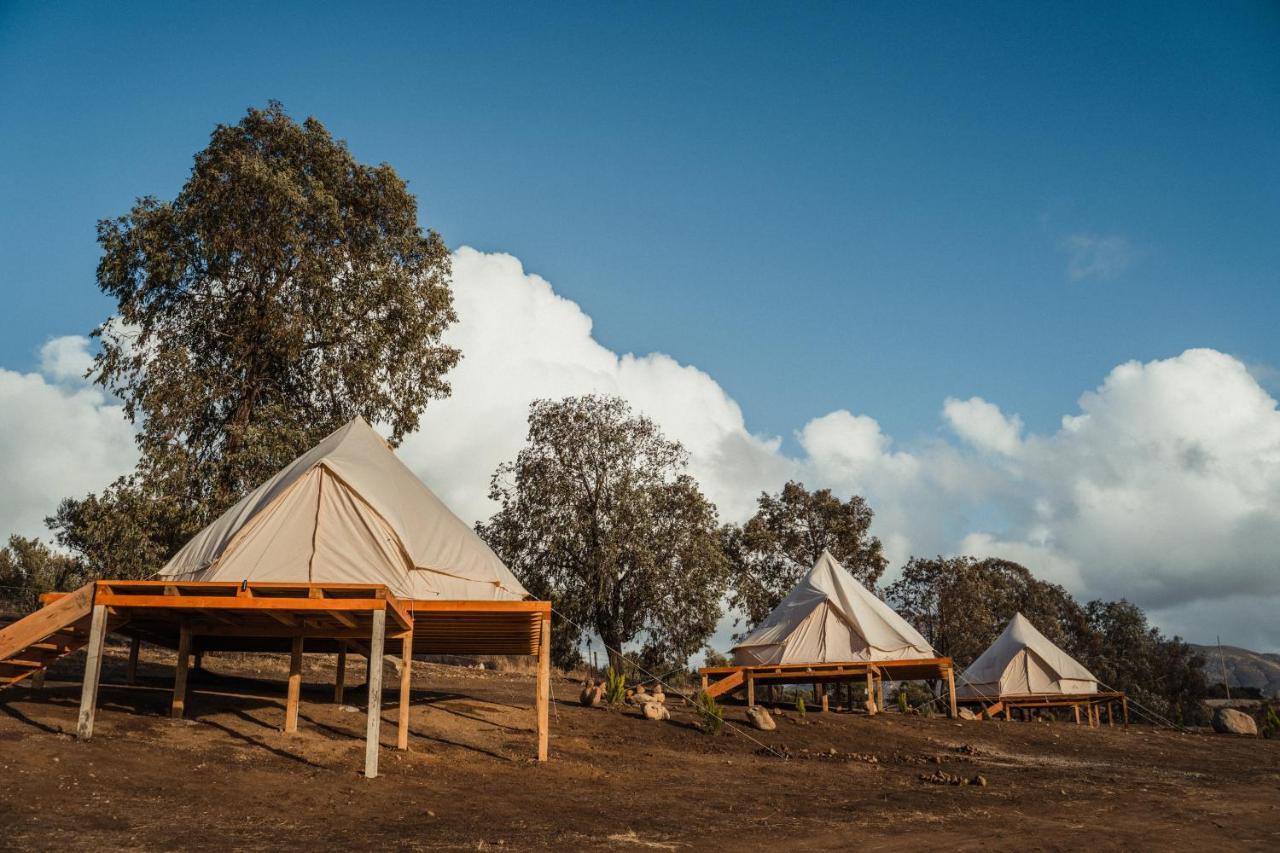 Lago Valle Wine Glamping Valle de Guadalupe Εξωτερικό φωτογραφία