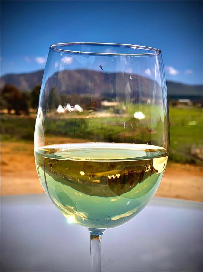 Lago Valle Wine Glamping Valle de Guadalupe Εξωτερικό φωτογραφία