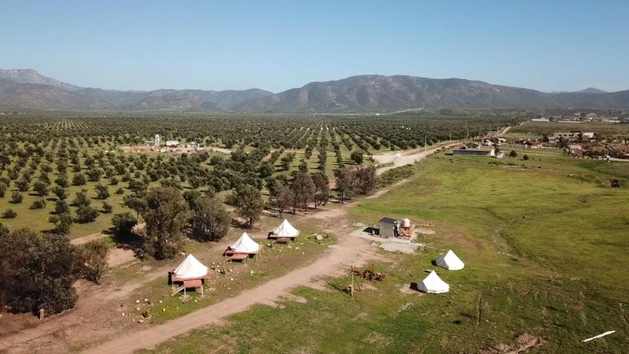 Lago Valle Wine Glamping Valle de Guadalupe Εξωτερικό φωτογραφία