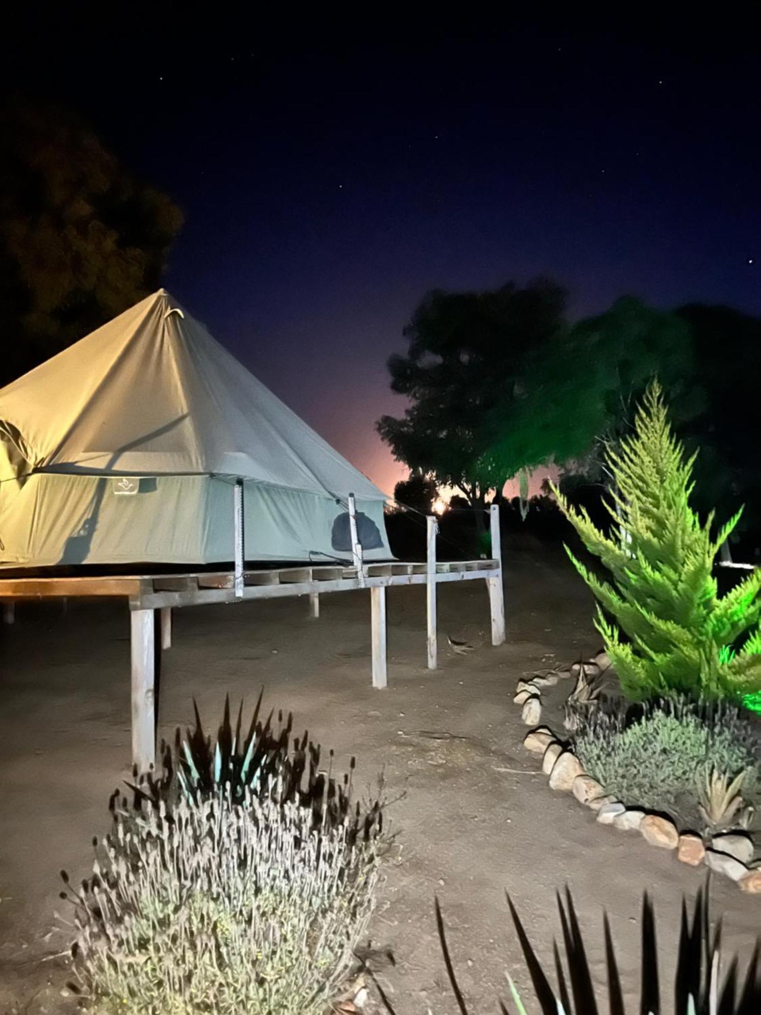 Lago Valle Wine Glamping Valle de Guadalupe Εξωτερικό φωτογραφία